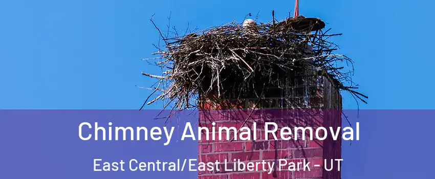 Chimney Animal Removal East Central/East Liberty Park - UT