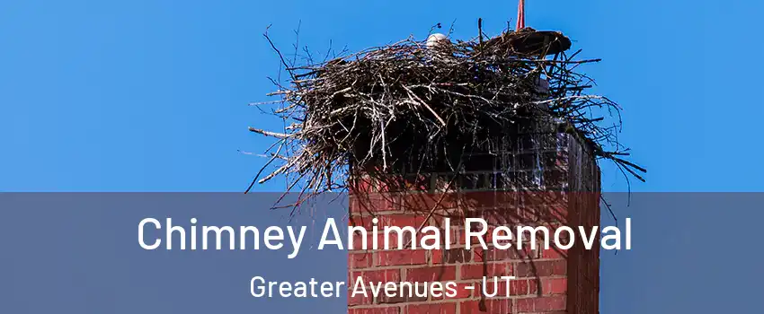 Chimney Animal Removal Greater Avenues - UT