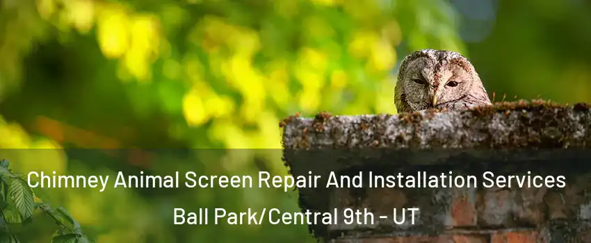 Chimney Animal Screen Repair And Installation Services Ball Park/Central 9th - UT