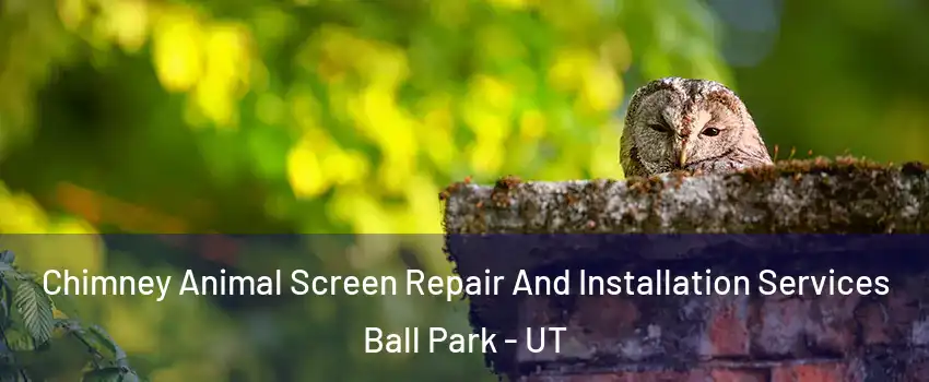 Chimney Animal Screen Repair And Installation Services Ball Park - UT