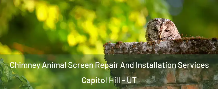Chimney Animal Screen Repair And Installation Services Capitol Hill - UT