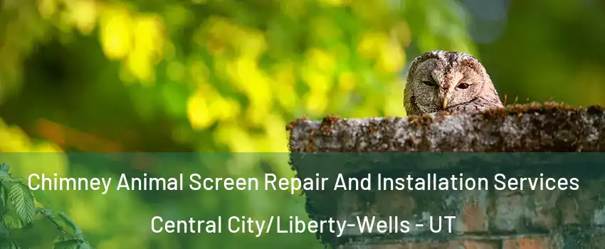 Chimney Animal Screen Repair And Installation Services Central City/Liberty-Wells - UT