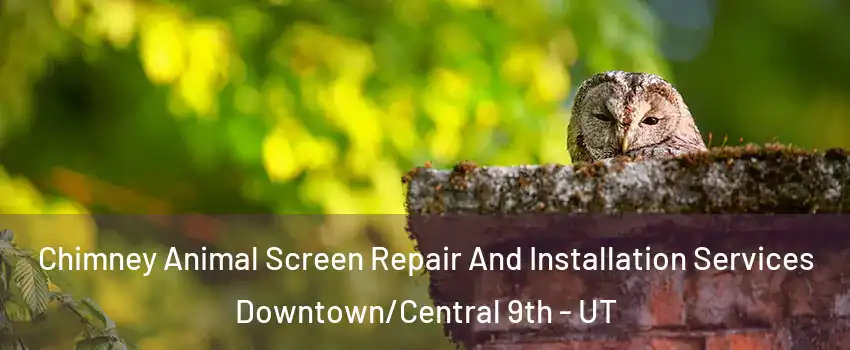 Chimney Animal Screen Repair And Installation Services Downtown/Central 9th - UT