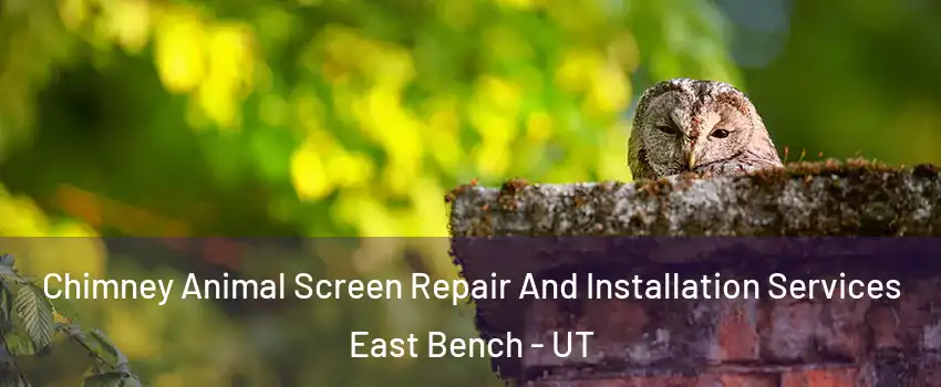 Chimney Animal Screen Repair And Installation Services East Bench - UT