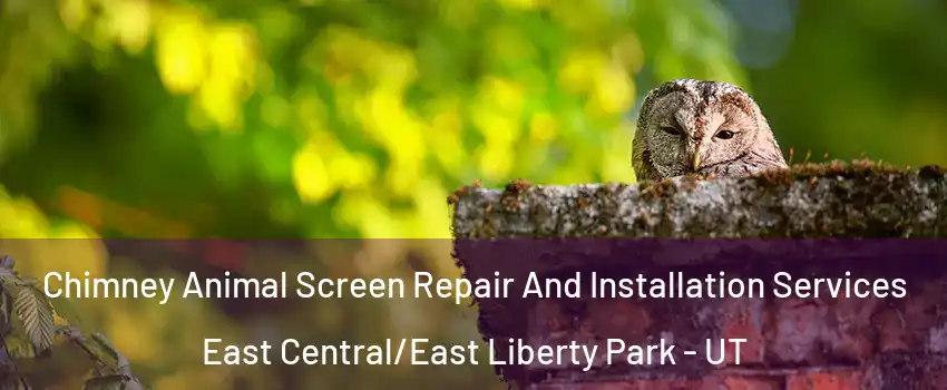 Chimney Animal Screen Repair And Installation Services East Central/East Liberty Park - UT