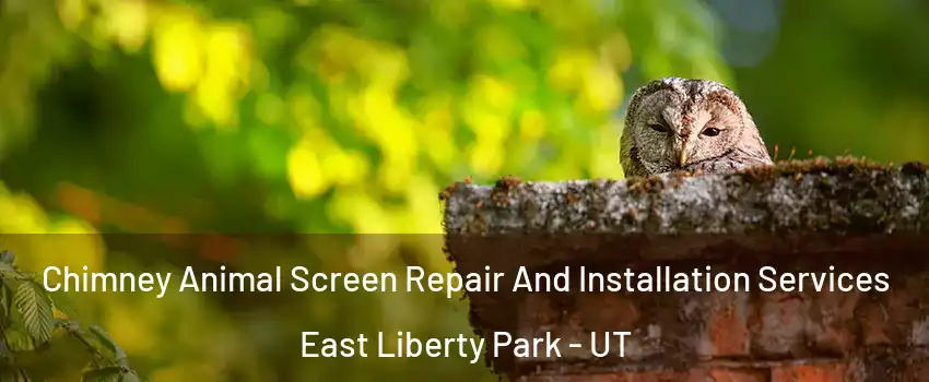 Chimney Animal Screen Repair And Installation Services East Liberty Park - UT