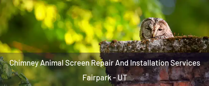 Chimney Animal Screen Repair And Installation Services Fairpark - UT