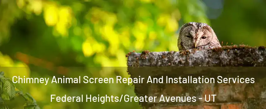 Chimney Animal Screen Repair And Installation Services Federal Heights/Greater Avenues - UT
