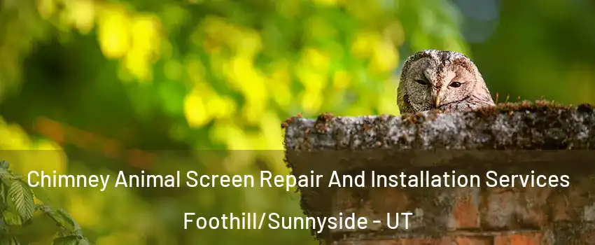 Chimney Animal Screen Repair And Installation Services Foothill/Sunnyside - UT