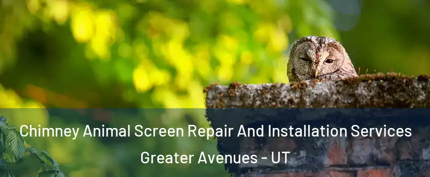 Chimney Animal Screen Repair And Installation Services Greater Avenues - UT