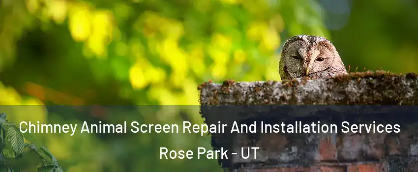 Chimney Animal Screen Repair And Installation Services Rose Park - UT