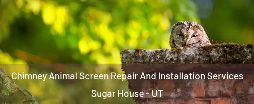 Chimney Animal Screen Repair And Installation Services Sugar House - UT