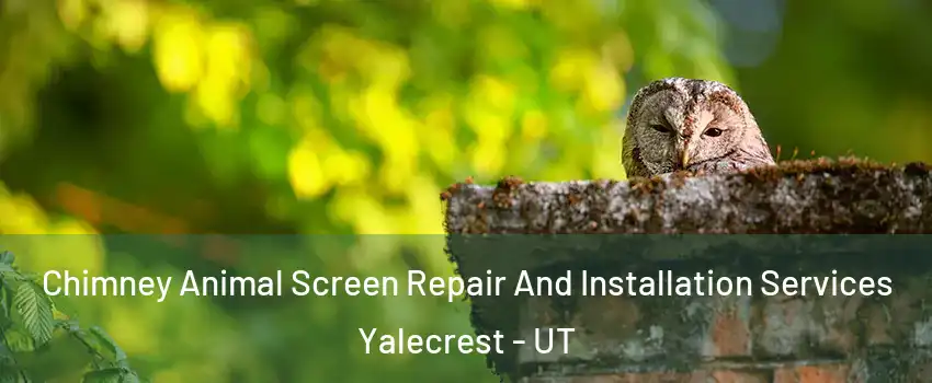 Chimney Animal Screen Repair And Installation Services Yalecrest - UT