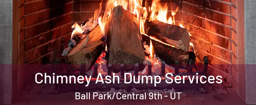 Chimney Ash Dump Services Ball Park/Central 9th - UT
