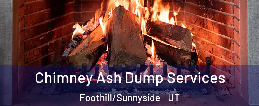 Chimney Ash Dump Services Foothill/Sunnyside - UT