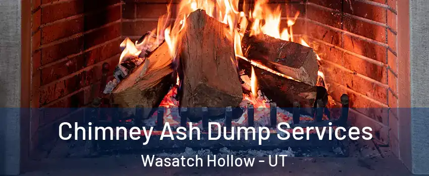 Chimney Ash Dump Services Wasatch Hollow - UT