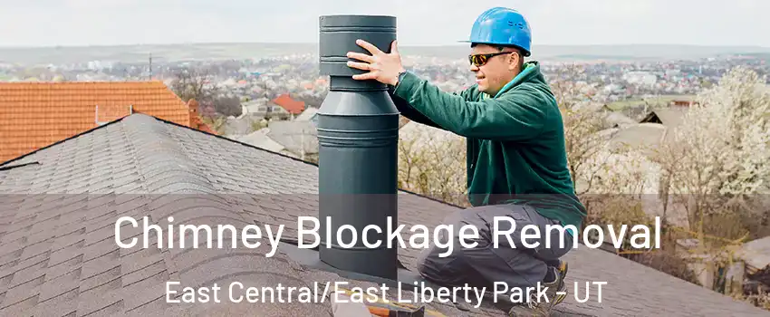 Chimney Blockage Removal East Central/East Liberty Park - UT