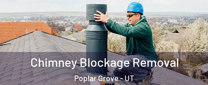 Chimney Blockage Removal Poplar Grove - UT