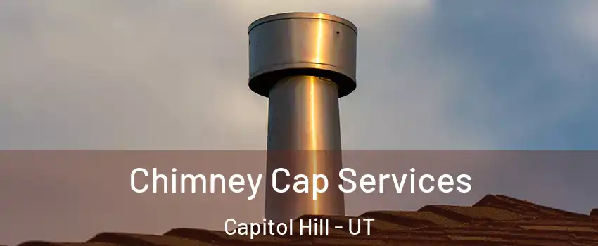 Chimney Cap Services Capitol Hill - UT
