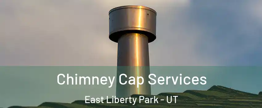Chimney Cap Services East Liberty Park - UT