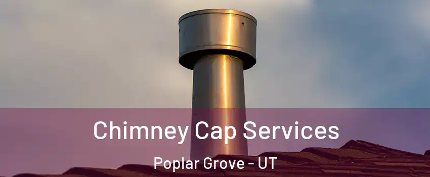 Chimney Cap Services Poplar Grove - UT