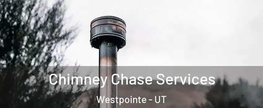 Chimney Chase Services Westpointe - UT
