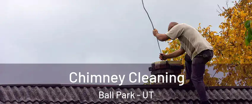 Chimney Cleaning Ball Park - UT
