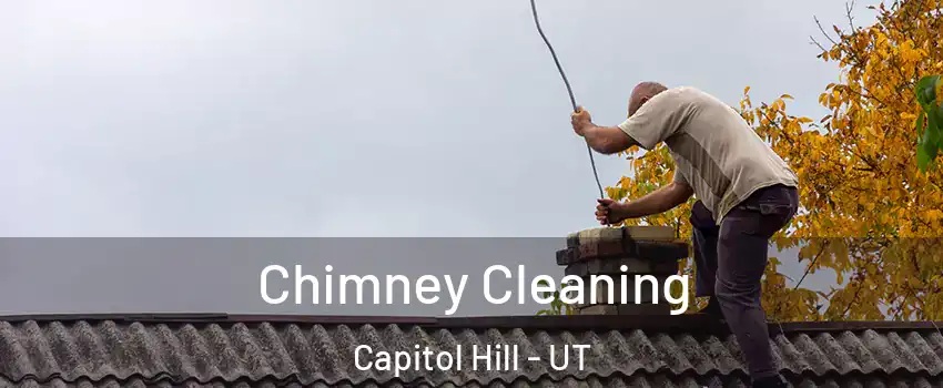 Chimney Cleaning Capitol Hill - UT