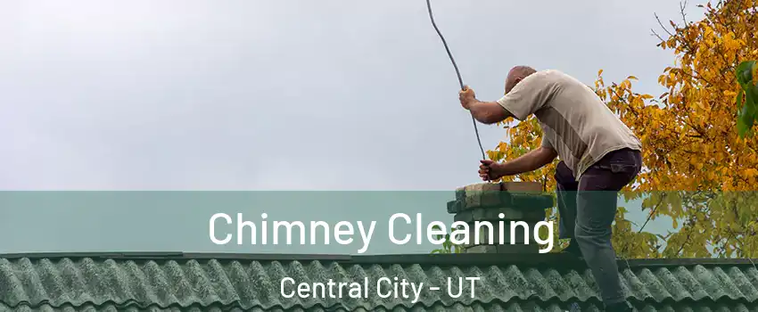Chimney Cleaning Central City - UT