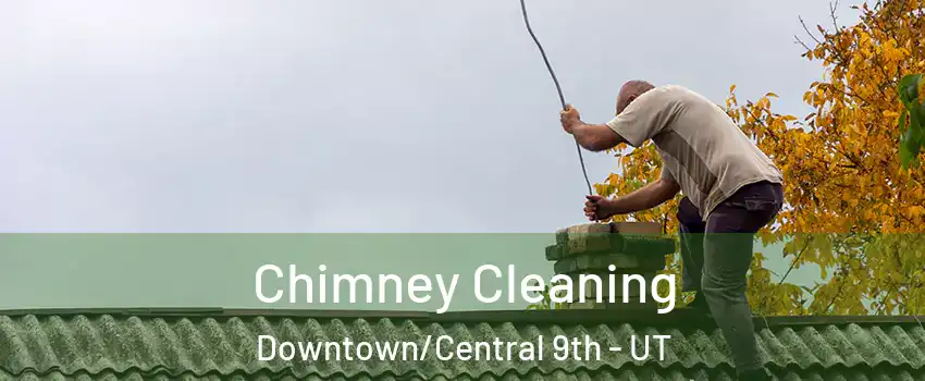 Chimney Cleaning Downtown/Central 9th - UT