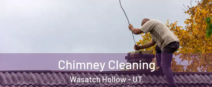 Chimney Cleaning Wasatch Hollow - UT