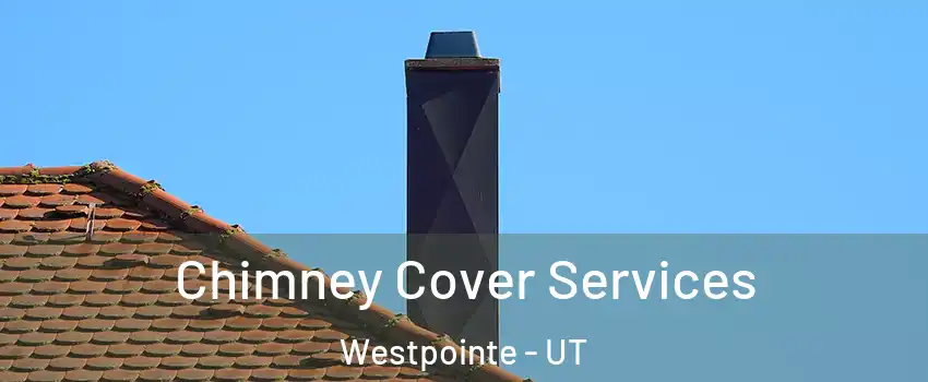 Chimney Cover Services Westpointe - UT