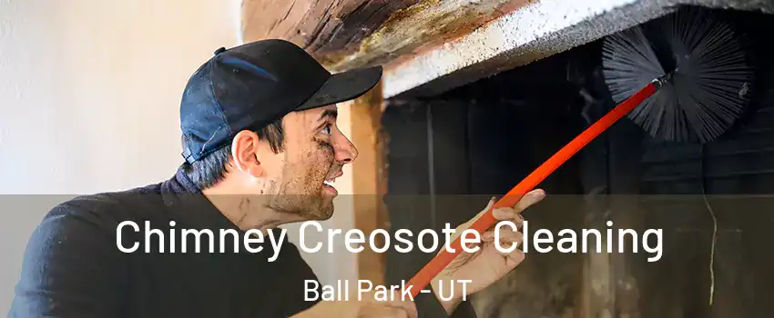 Chimney Creosote Cleaning Ball Park - UT