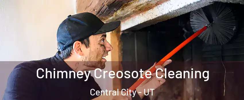 Chimney Creosote Cleaning Central City - UT