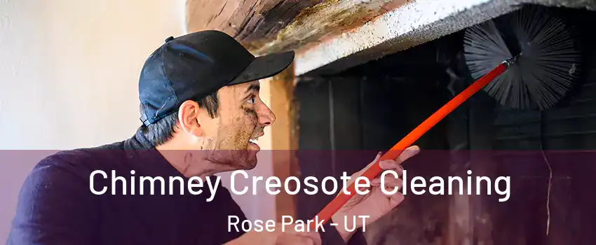 Chimney Creosote Cleaning Rose Park - UT