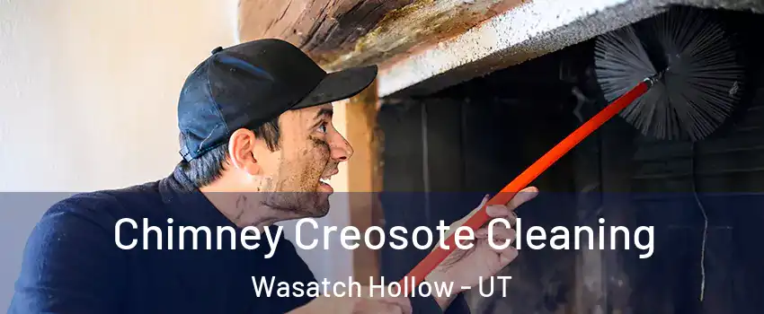 Chimney Creosote Cleaning Wasatch Hollow - UT