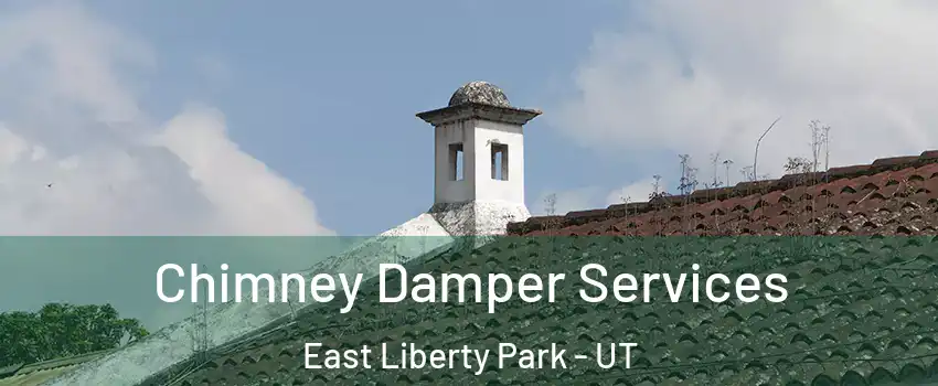 Chimney Damper Services East Liberty Park - UT