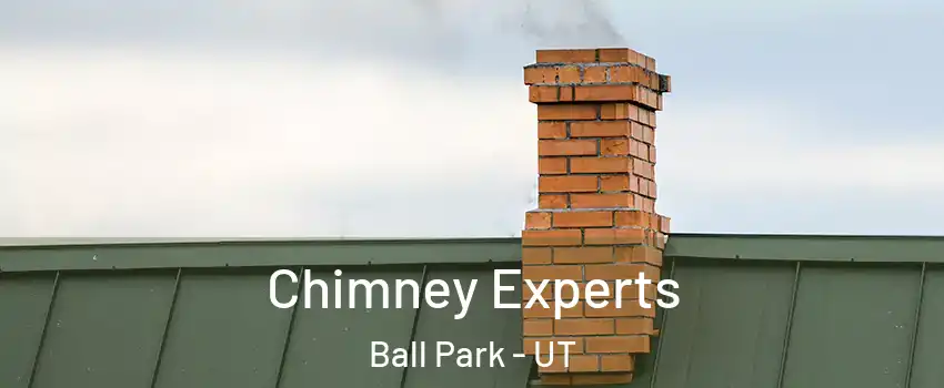 Chimney Experts Ball Park - UT