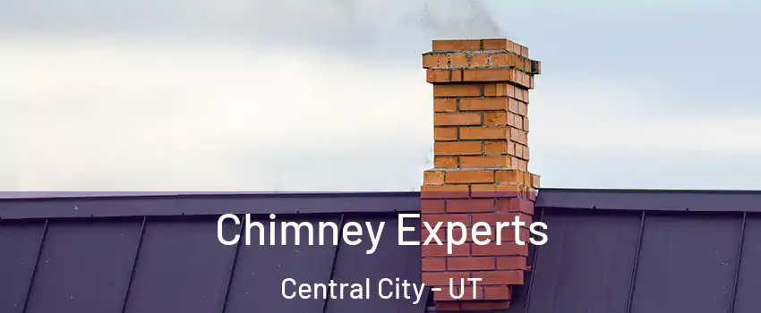 Chimney Experts Central City - UT
