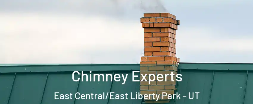 Chimney Experts East Central/East Liberty Park - UT