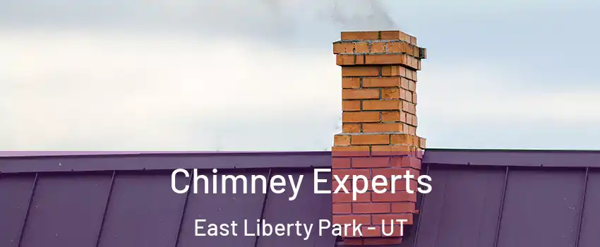 Chimney Experts East Liberty Park - UT