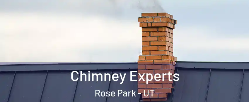 Chimney Experts Rose Park - UT