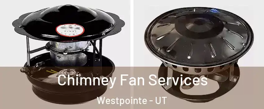 Chimney Fan Services Westpointe - UT