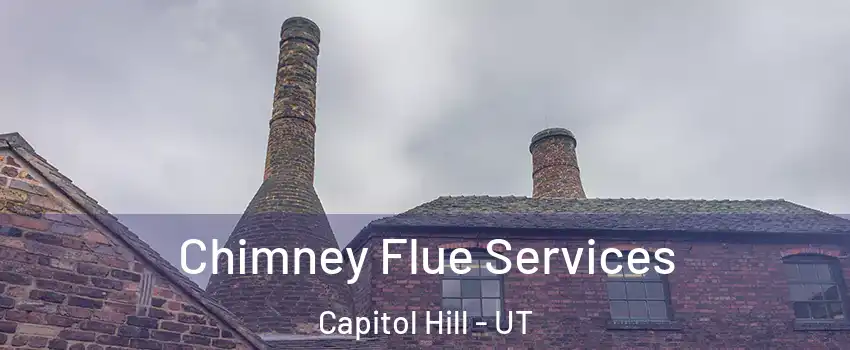 Chimney Flue Services Capitol Hill - UT