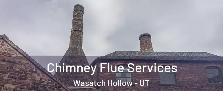Chimney Flue Services Wasatch Hollow - UT