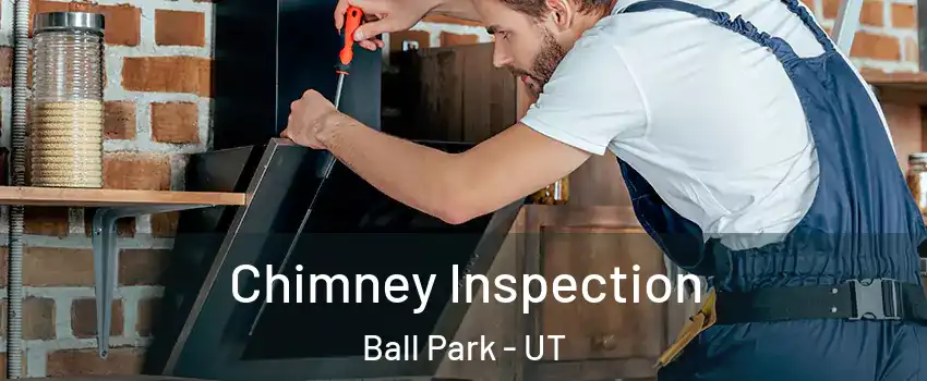 Chimney Inspection Ball Park - UT