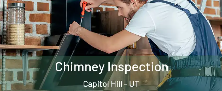 Chimney Inspection Capitol Hill - UT