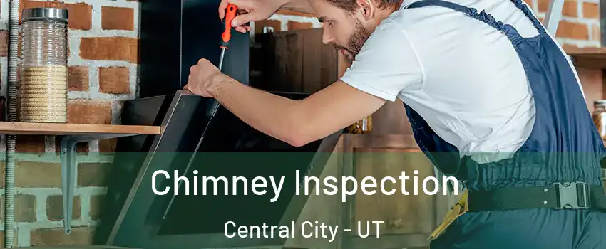 Chimney Inspection Central City - UT