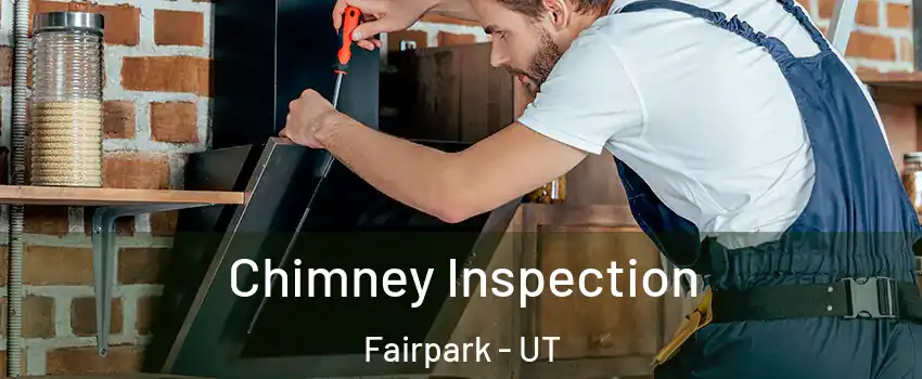 Chimney Inspection Fairpark - UT