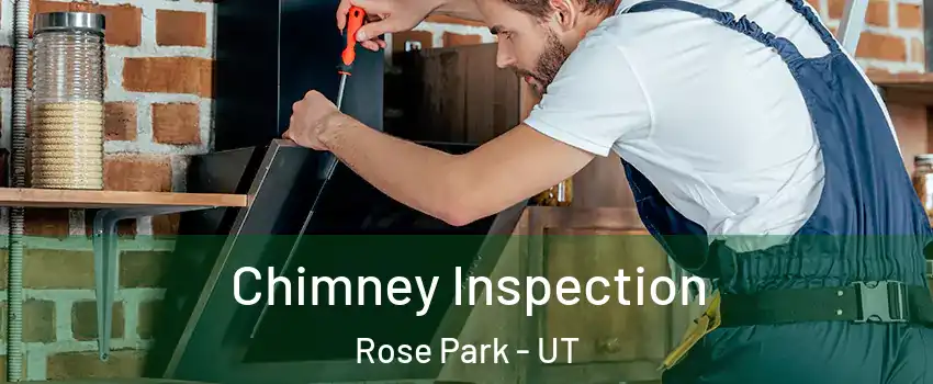 Chimney Inspection Rose Park - UT